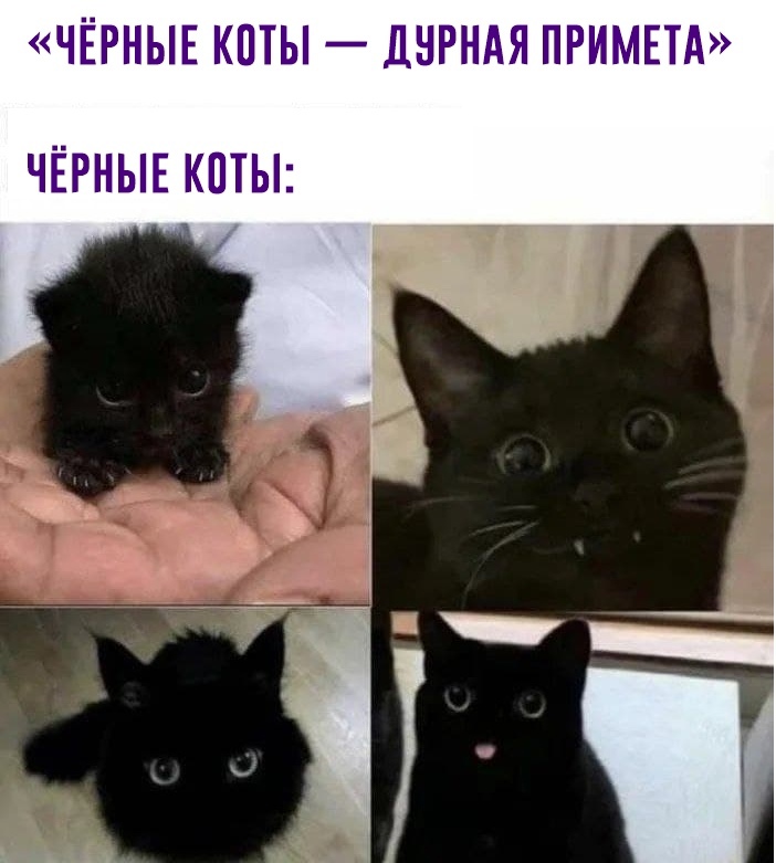 Юмор из интернета 698 анекдоты,позитив,смех,улыбки,юмор