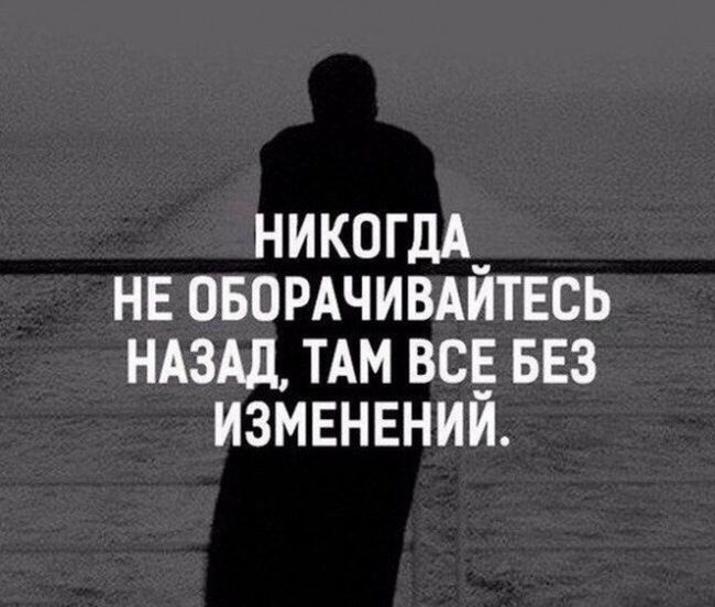 Подборка картинок. Вечерний выпуск (68 фото)