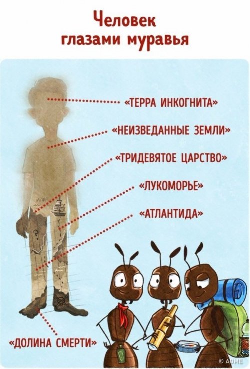 Человек глазами животных (9 фото)