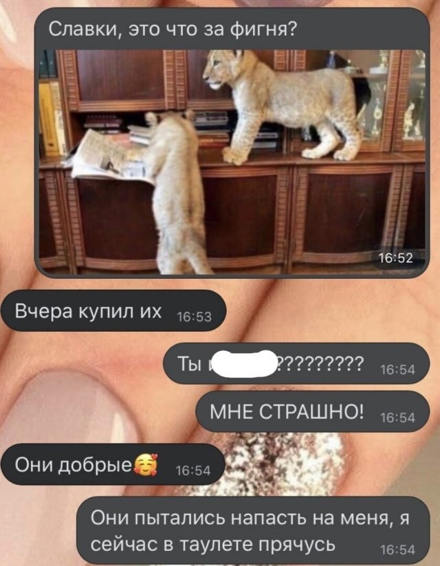 Смешные переписки  позитив,смешные картинки,юмор