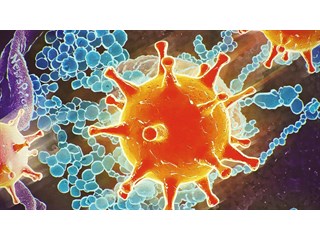 Пришельцы среди нас: как вирусы меняют мир?