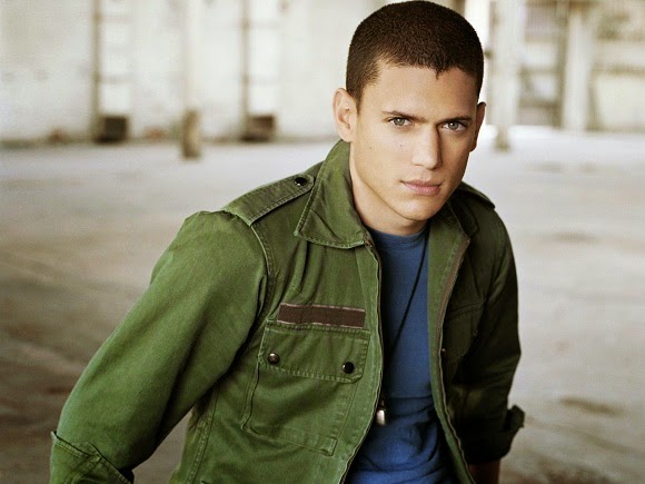 wentworth-miller-gay