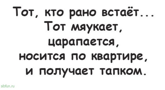 Посмотрел Иван-царевич на тещ своих братьев и пустил стрелу в болото Посмотрел Иван-царевич на тещ своих братьев и пустил стрелу в болото принято, домой, бельё, предложил, полиция, отвечает, Подходит, купить, вдруг, мужчины, предложила, можно, палубе, больше, стоял, бывшей, когда, прекрасный, круиз, собираемся