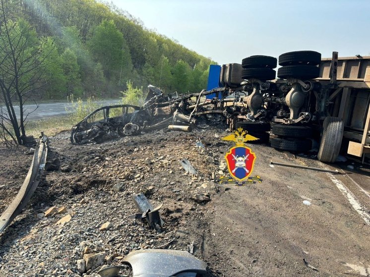 Женщина погибла в сгоревшей после ДТП машине в Хабаровском крае