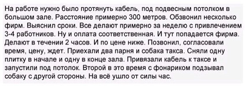 На изображении может находиться: текст «на работе нужно было протянуть кабель, под подвесным потолком в большом зале. расстояние примерно 300 метров. обзвонил несколько фирм. выяснил сроки. все делают примерно за неделю с привлечением 3-4 работников. ну и оплата соответственная. и тут попадается фирма. делают в течении 2 часов. и по цене ниже. позвонил, согласовали время, цену, ждет. приехали два парня и собака такса. сняли одну плитку в начале и одну в конце зала. привязали кабель к таксе и запустили под потолок. второй в это время с фонариком подзывал собаку с другой стороны. на всё ушло от силы час.»