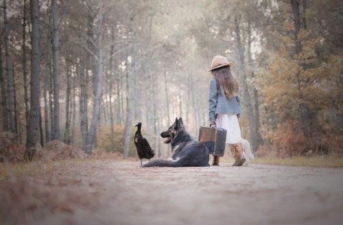 Неожиданная дружба Неожиданная дружба