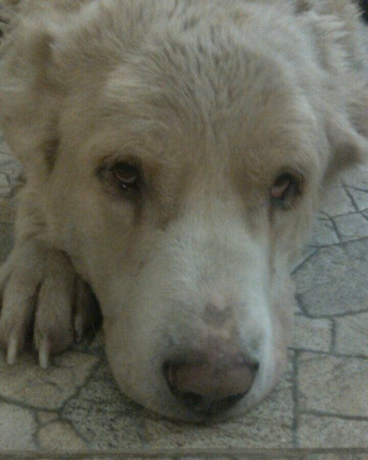 ТАК НЕЛЬЗЯ, ЛЮДИ...