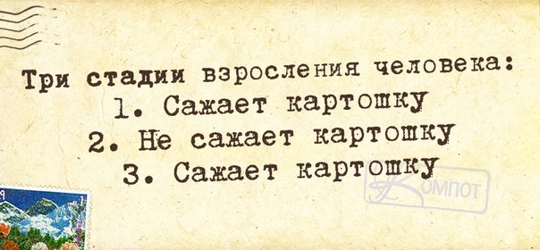 Веселые фразочки в картинках 