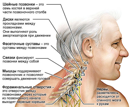 Почему тянет шею Почему тянет шею