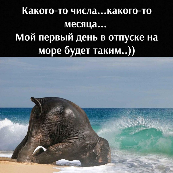 Коллекция юмора для поднятия настроения Коллекция юмора для поднятия настроения