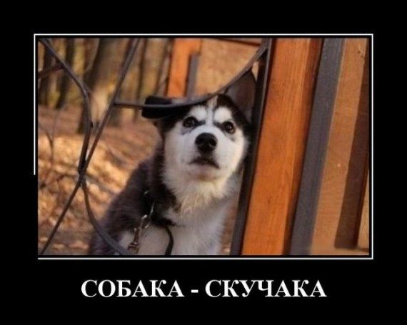 Прикольные демотиваторы дня!