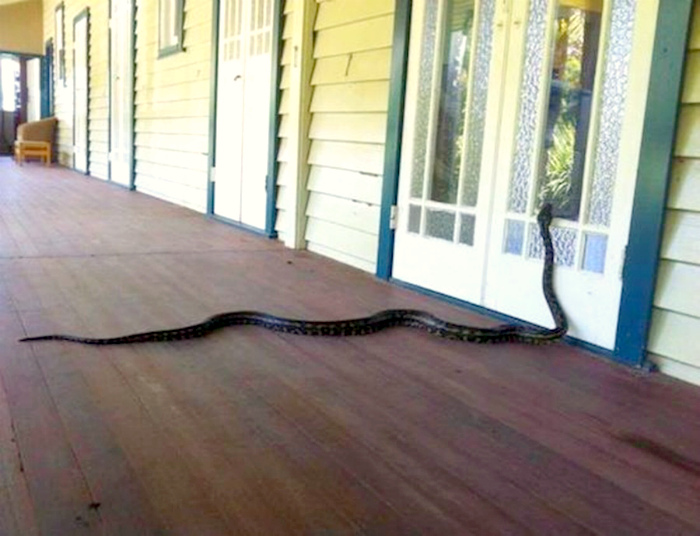 17 случаев, когда люди магнитом притягивали к себе неприятности 17 случаев, когда люди магнитом притягивали к себе неприятности