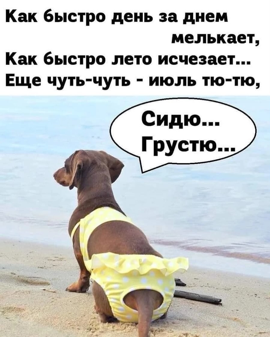 Как мало нужно, чтобы сделать жизнь невыносимой! Камешек в ботинке, таракан в макаронах, женский смех! Как мало нужно, чтобы сделать жизнь невыносимой! Камешек в ботинке, таракан в макаронах, женский смех! Соскучились , моим , картинкам , погналиИнструменты, власти, кнута, запах, пряника , Нутес , пожалуй , закончим , новых , встреч