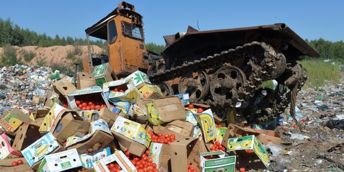 Глава калининградской таможни объяснил уничтожение контрабандной еды богатством России