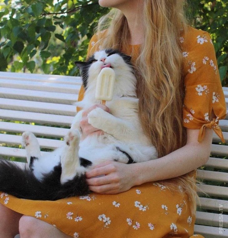 Интересные и прикольные фотографии 