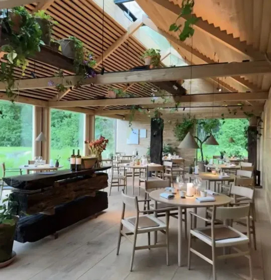 Скандал в мире высокой кухни: шеф-повара Рене Редзепи 