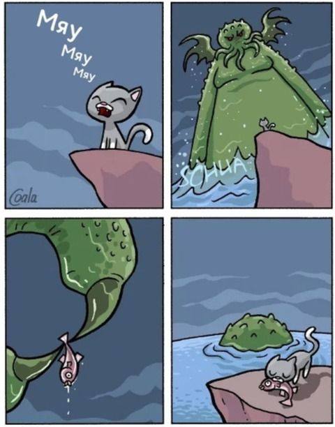 Прикольные картинки для всех Прикольные картинки для всех