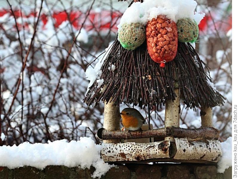 20 отличных идей птичьих кормушек вдохновляемся,для дома и дачи