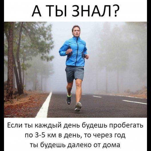 В советское время была только одна программа про животных, она так и называлась - "В мире животных"... Весёлые,прикольные и забавные фотки и картинки,А так же анекдоты и приятное общение