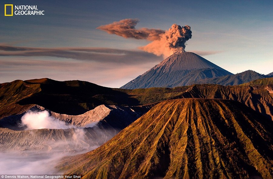 Фантастические снимки читателей журнала  National Geographic national geographic, животные, мир, природа, фотографии