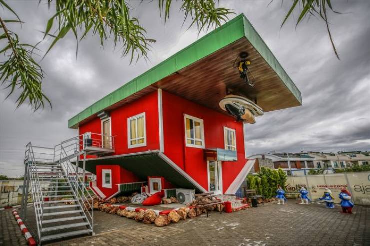 Забавные картинки для хорошего настроения Забавные картинки для хорошего настроения животные,жизнь,звери,земля,котики,коты,курьезы,мир,питомцы,планета,приколы,природа,смешное,собаки,факты,фауна,флора,щенки,юмор