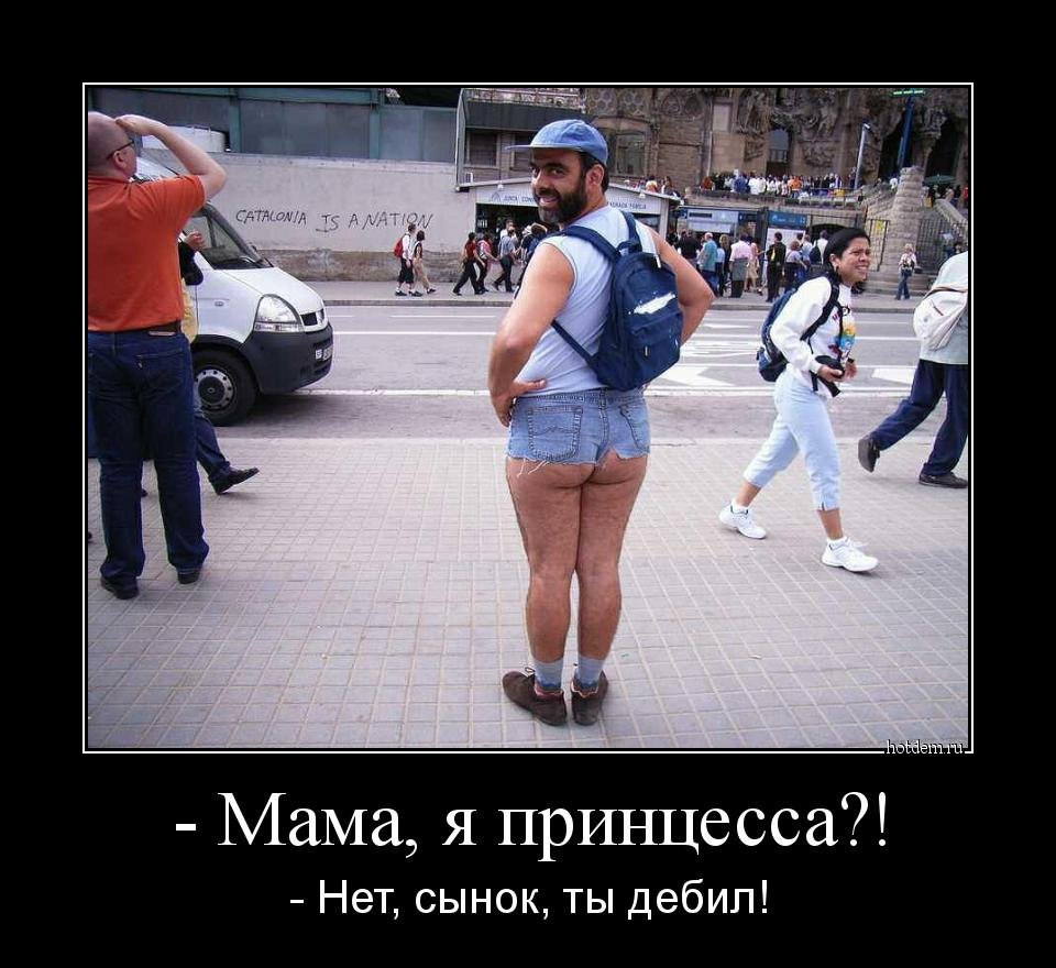 1414134099_demy