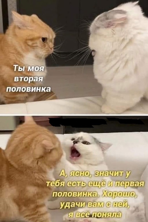 Немножко смешных зверушек... Надёргано , отовсюду