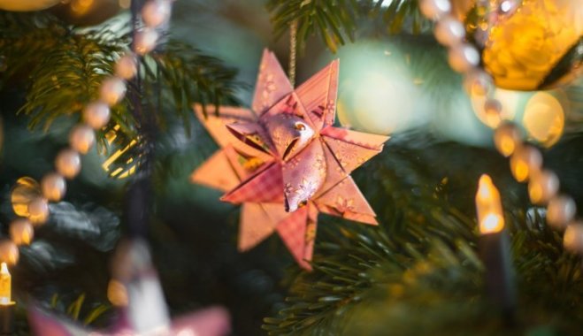 12 секретов, которые нужно знать при покупке рождественской елки 12 секретов, которые нужно знать при покупке рождественской елки новый год и рождество