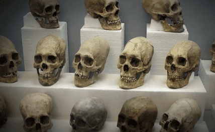 [VIP]~Тесты ДНК показали, что черепа из Паракаса возрастом 3 000 лет принадлежат к неизвестной человеческой расе, изображение №3
