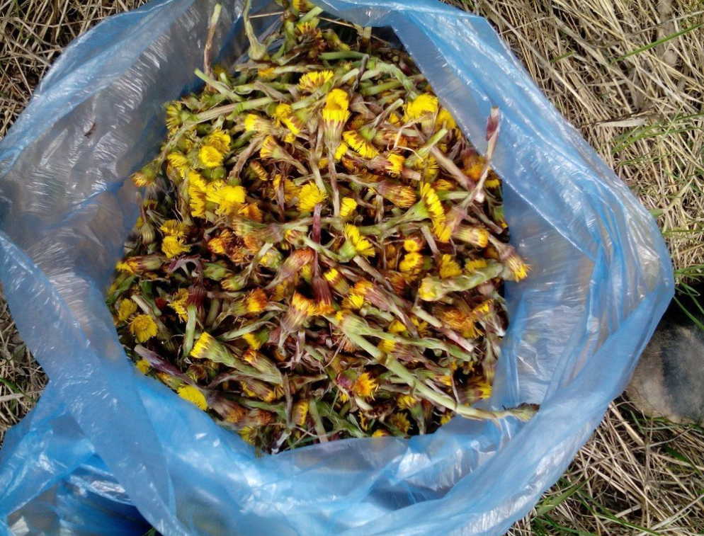 Как лечила сильный бронхит, простуду и грипп бабушка Мария: ее советы ценные до сих пор!