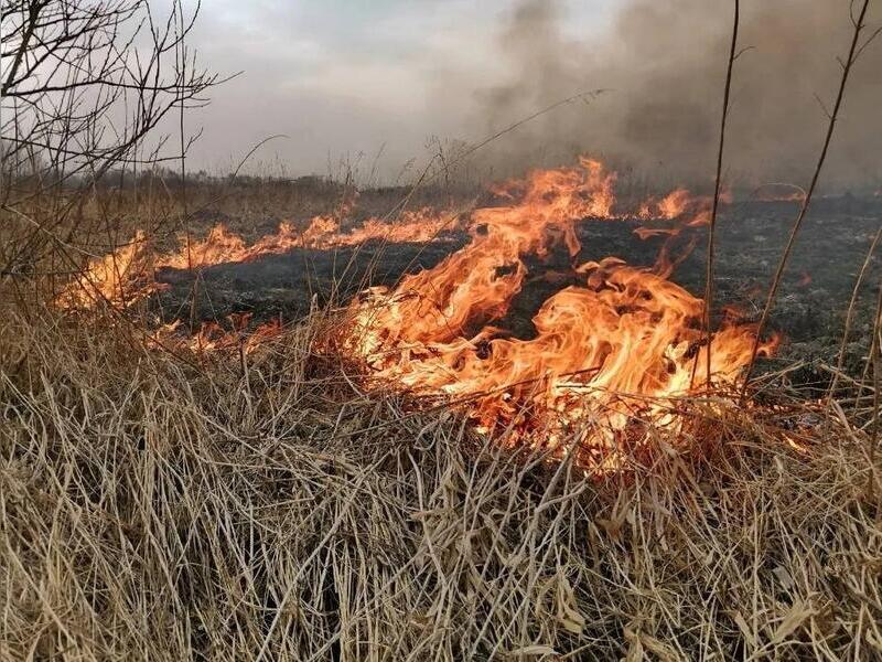 Пожарные ликвидировали крупный степной пожар в Улётовском районе