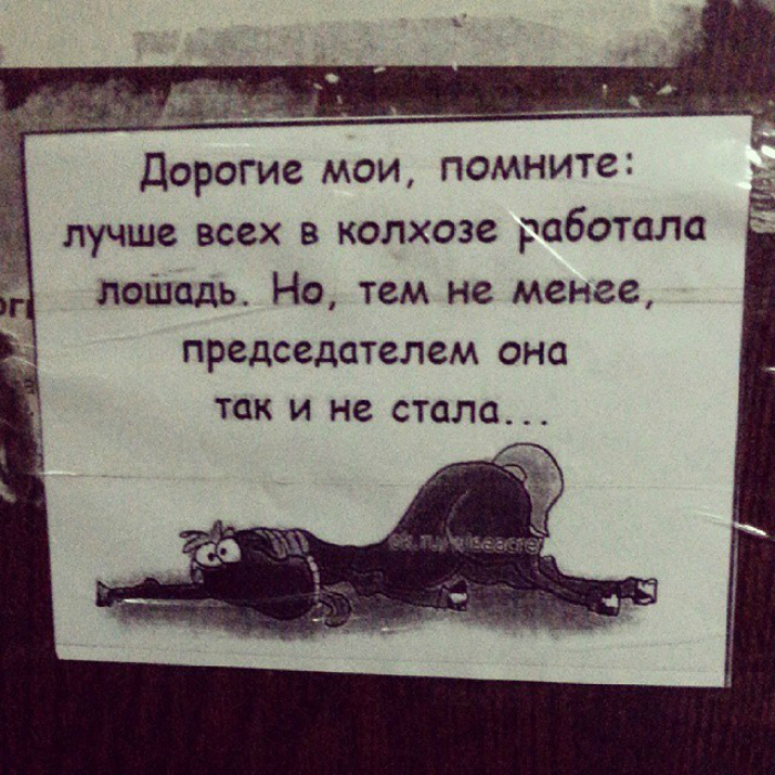 «Бродячие» философы: 17 глубокомысленных заметок в транспорте и на улицах 