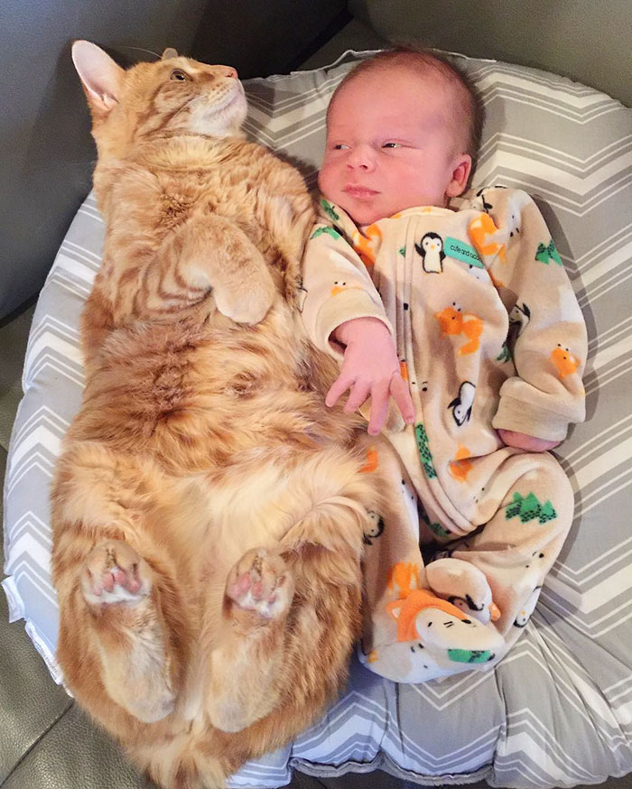 pets-family-friend-newborn-baby-sonny-12