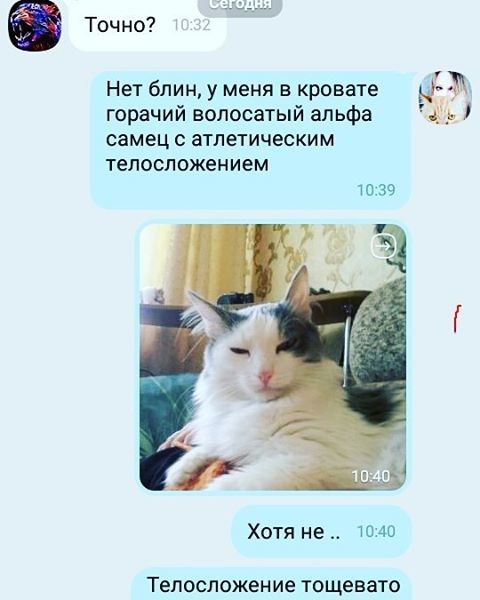 У вас есть подруга? Значит с вероятностью 99,9% вы узнаете в этой СМС-переписке себя прикол, смс, смс с подругой