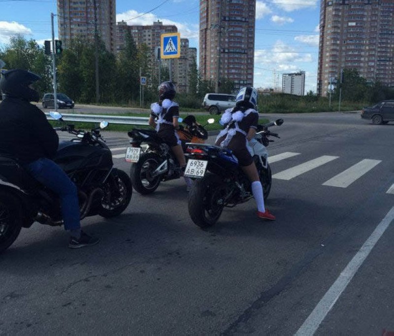 Неповторимые кадры с родных просторов смешные, только в россии, удачный кадр, фото, юмор