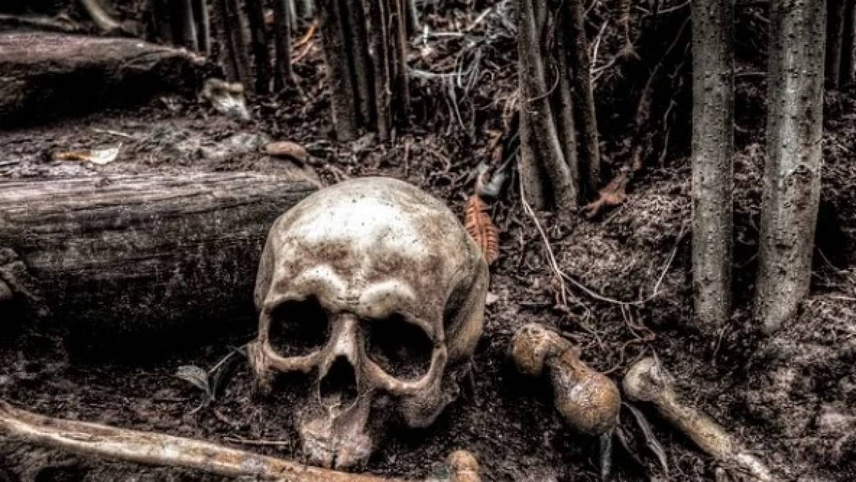 Самый древний череп человека вида Homo naledi обнаружили в пещере Восходящей звезды