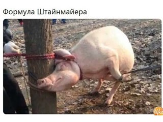 Денацификация — путь Украины к нормальной жизни? Денацификация — путь Украины к нормальной жизни? украина