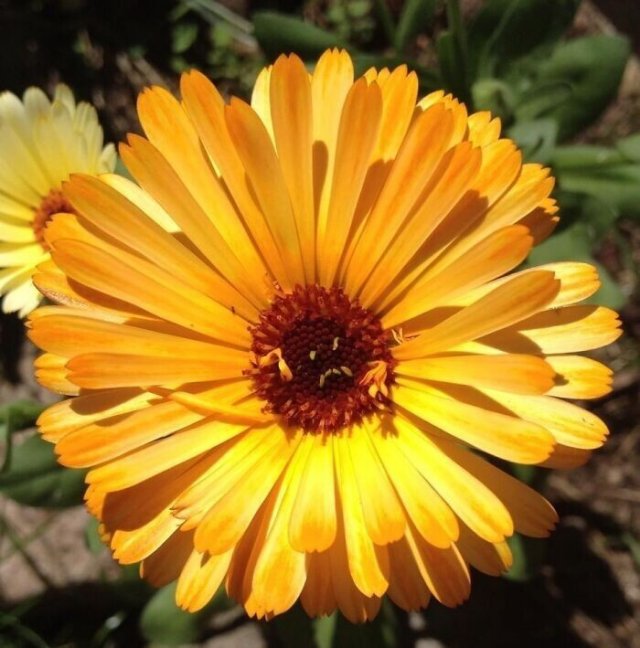 Немного парейдолии Немного парейдолии