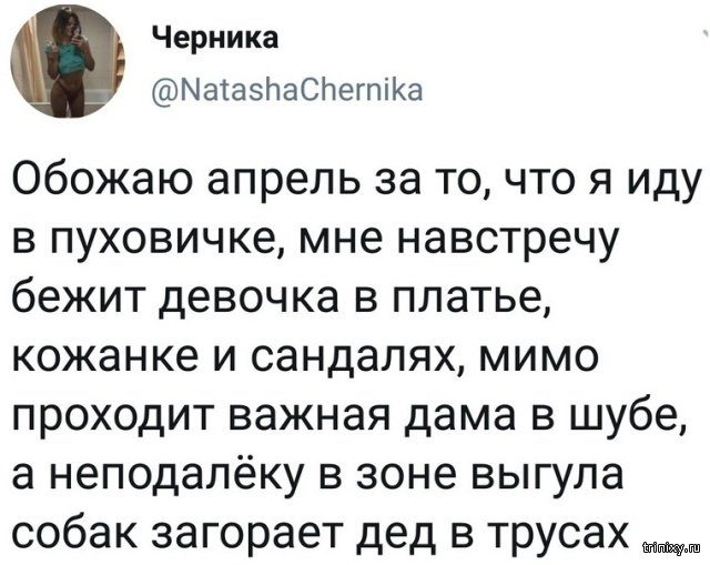 Юмор из социальный сетей Юмор из социальный сетей