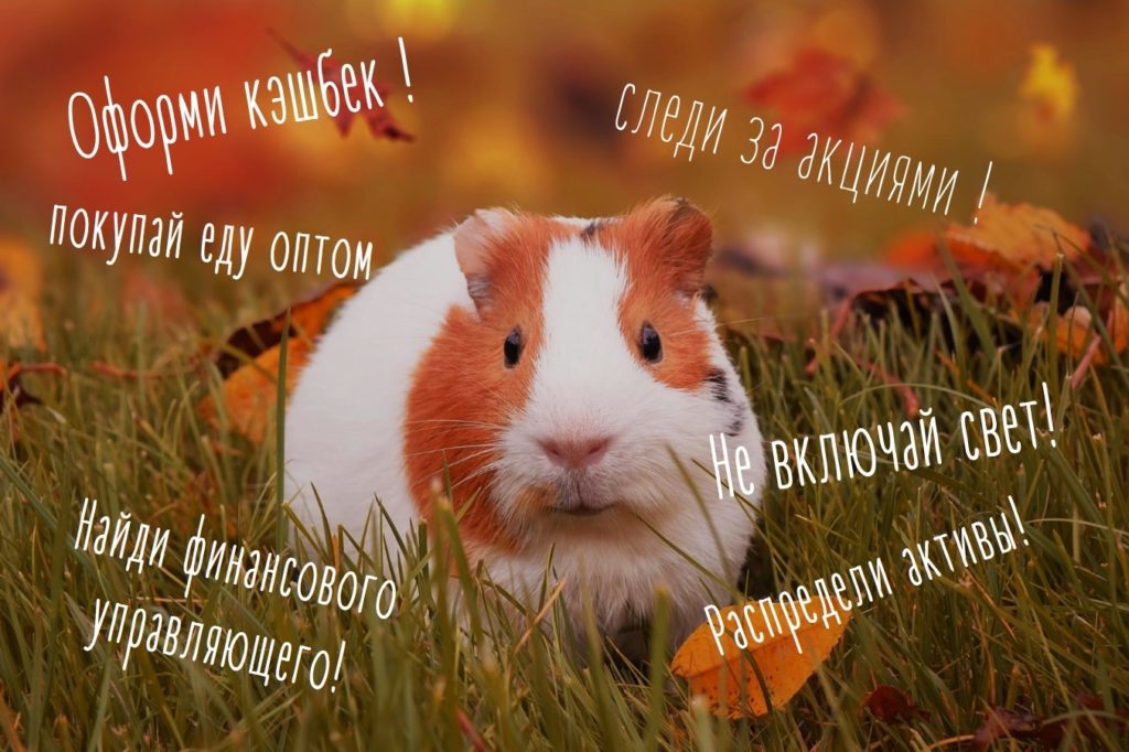 глупых советов по экономии