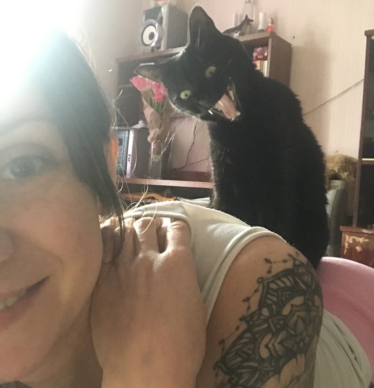 Милые и бессовестные... Милые и бессовестные... животные