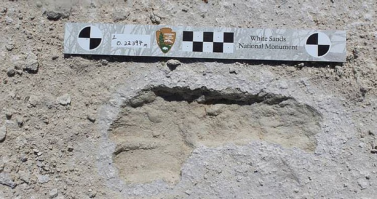 Отпечаток небольшой женской стопы, оставленный 13 тысяч лет назад