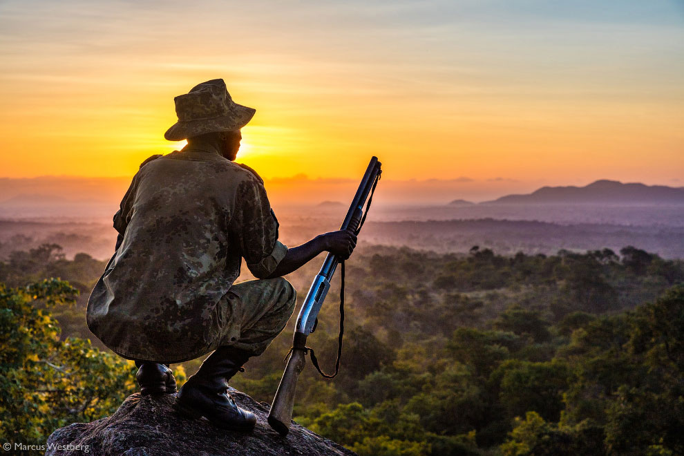 Лучшие фотографии Африки 2020 Африка,фотографии