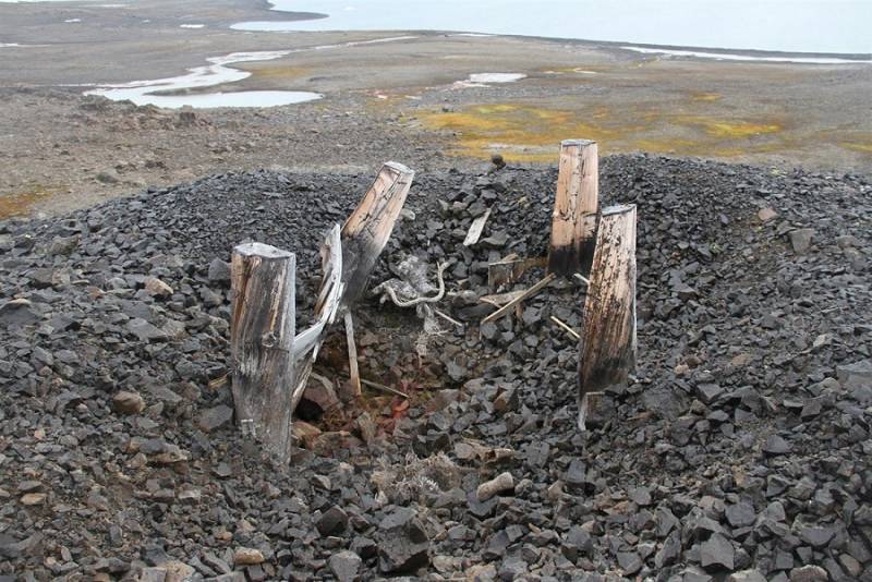 Как секретную нацистскую метеостанцию уничтожил медведь история