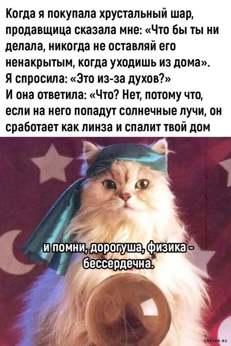 Самые смешные картинки с надписям 