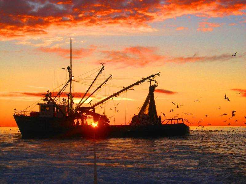 СМИ Норвегии: Киев требует ввести «рыболовные» санкции против РФ