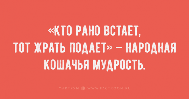 Забавные анекдоты, заставляющие громко хохотать