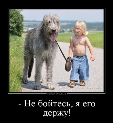 Смешные и забавные вечерние демотиваторы пятницы ржачные пятничные демотиваторы