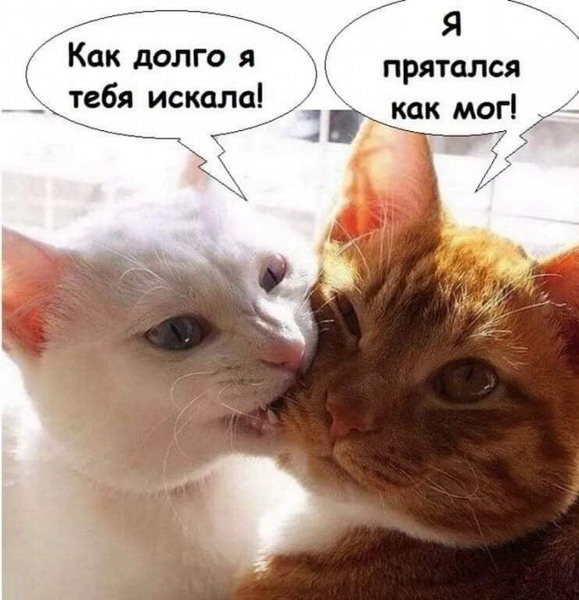 Бог создал мир. Остальное сделано в Китае  СВИДАНИЯСВАДЬБА, можно, расслабиться, немногоКОГДА, ТОЛЬКО, СДЕЛАЛА, ПРИЧЕСКУ, ПАРИКМАХЕРСКОЙ, ЧУВСТВУЕШЬ, КРАСАВИЦЕЙ                                        