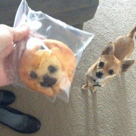 Так совпасть просто не могло, но каким-то образом совпало случайность, совпадение, совпадения